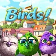 BirdsBsg thumbnail