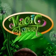 Magic ForestCaleta thumbnail